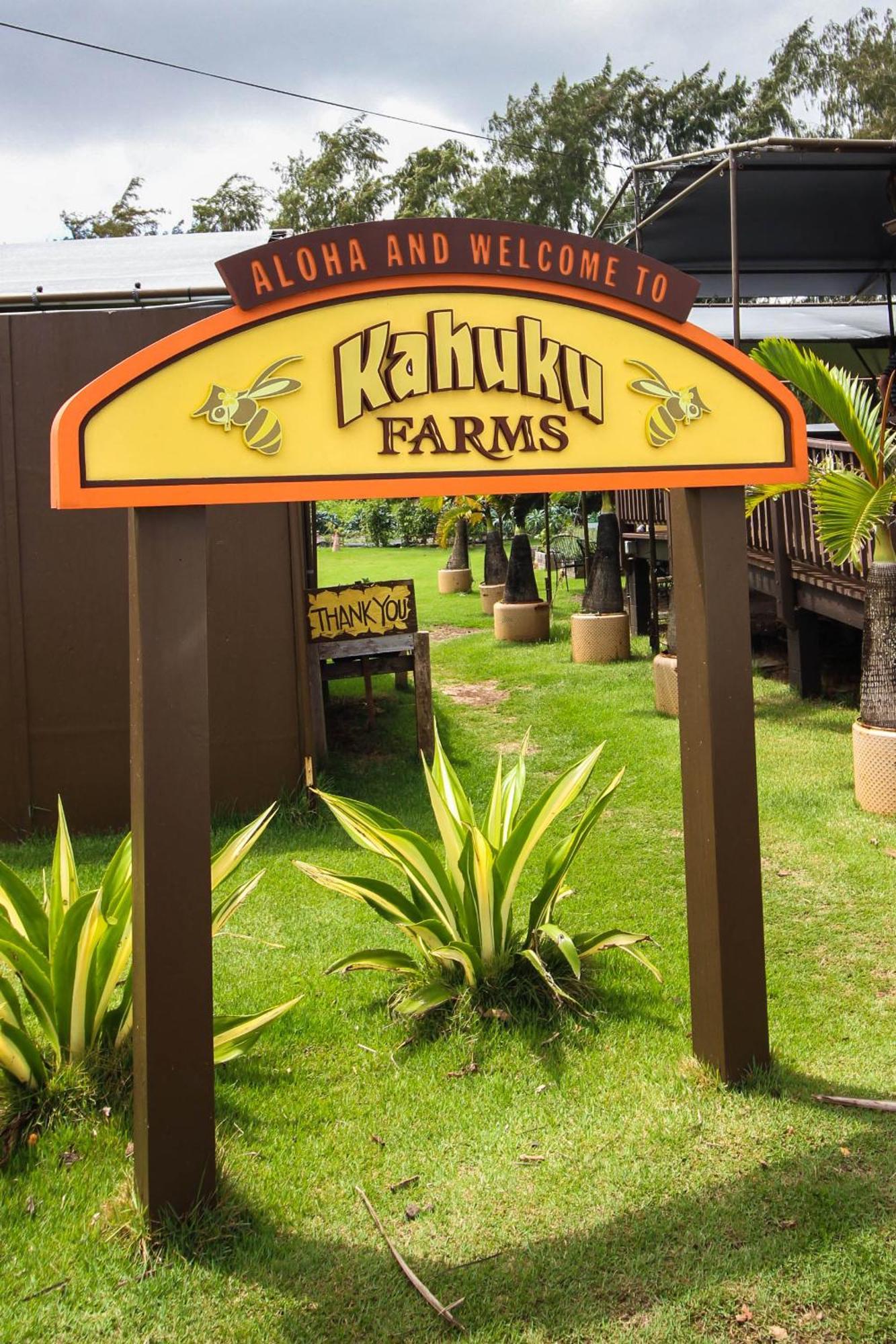 Naupaka Breeze Ocean View Ac 30 Day Stay Specials! Laie Exterior photo