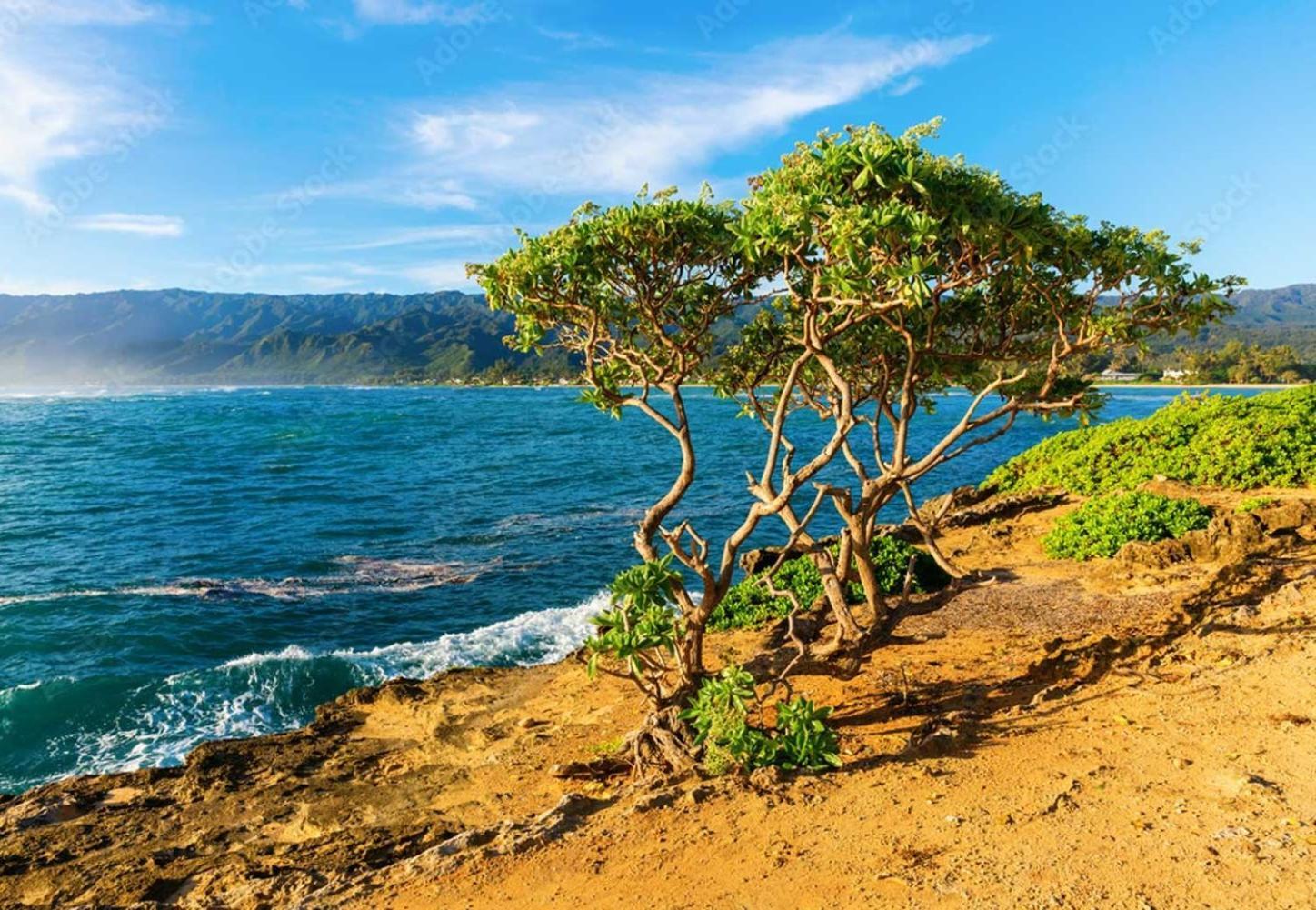 Naupaka Breeze Ocean View Ac 30 Day Stay Specials! Laie Exterior photo